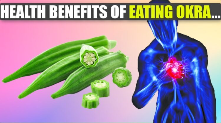 Discover the Amazing Health Benefits of Eating Okra